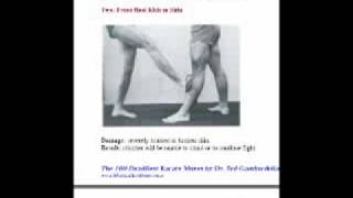 100 Deadliest Karate Moves 1 [upl. by Olfe]