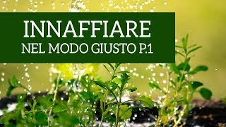 Come innaffiare le piante nel modo giusto Parte 1 [upl. by Idnew841]