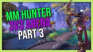 Marksmanship Hunter 3v3 Arena 3 Dragonflight Season 4 [upl. by Anis]