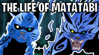 The Life Of Matatabi The TwoTails Naruto [upl. by Atirehgram298]