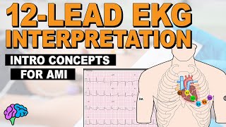 Introductory Concepts for Acute Myocardial Infarction AMI on 12Lead EKG [upl. by Mw]