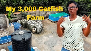 She Started a 3000 Capacity CATFISH FARM  Amazing Story [upl. by Taddeusz]