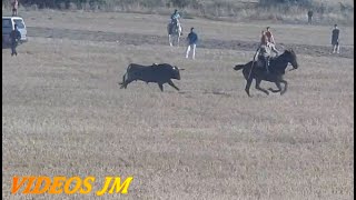 Encierro Loranca de Tajuña 150924 [upl. by Pearson]