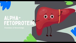 AFP Alpha Fetoprotein Blood Test [upl. by Ahsinotna]