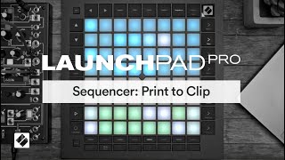 Launchpad Pro MK3  Sequencer Print to Clip  Novation [upl. by Catina]