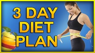 How to Lose 10 Pounds in 3 Days with this 3 Day Diet [upl. by Martainn]