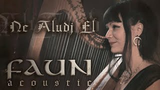 FAUN ACOUSTIC  Ne Aludj El Live Video [upl. by Tiossem]