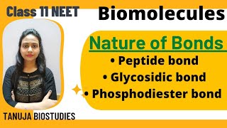 Biomolecules  Nature of bonds Peptide bond Glycosidic bond  Phosphodiester bond  Class 11 NEET [upl. by Kellyann278]