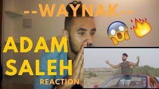 Adam Saleh  Waynak ft Faydee Official Music Video REACTION [upl. by Undry490]