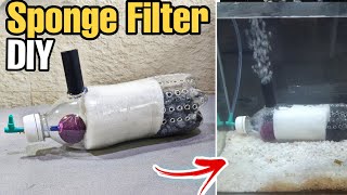 DIY Fish Tank Filter  How to make Aquarium Filter at Home Low Cost [upl. by Olen722]