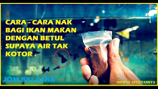 Cara  Cara Nak bagi ikan makan dengan betul Supaya Air Tak Kotor [upl. by Mamoun]