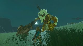 Un lynel contre des poules sur Zelda Breath of The Wild [upl. by Ramsa]