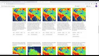 How to Search Geospatial Data on Google Earth Engine [upl. by Runck566]