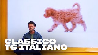 Il TG di EDOARDO FERRARIO  LOL Chi ride è fuori  S4 [upl. by Adlig]