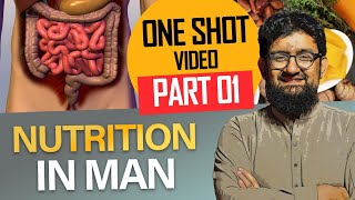 Nutrition in Man  One Shot Part 01 [upl. by Scarrow439]