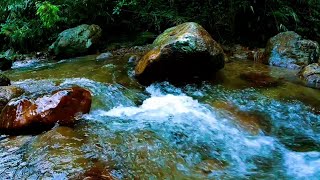 Flowing River Sounds for Study Focus and Relaxation  ASMR Ambience ASMR RELAXATION [upl. by Assirroc702]