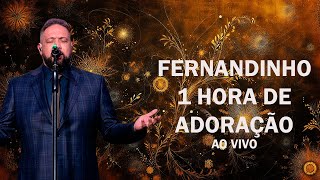 ESPECIAL FERNANDINHO AO VIVO [upl. by Eelanna816]