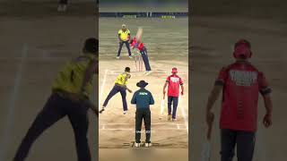 Wicket pavan kene garmin dhamaka big bash 2024 cricket 7070sports song wicket pavankene [upl. by Nike]