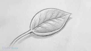 How to Draw amp Shade a Leaf Sketching Practice Tutorial [upl. by Ieluuk]