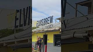 elvisbrew hartenbos sea beach [upl. by Debra]