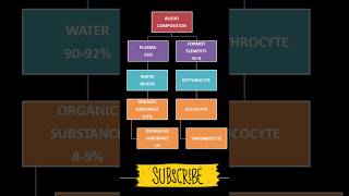 composition of blood in hindi  blood parts and their functions [upl. by Ashil851]