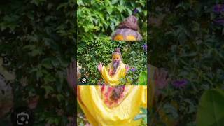 Prema nand Ji Maharaj ka प्रवचन [upl. by Adnwahsat310]