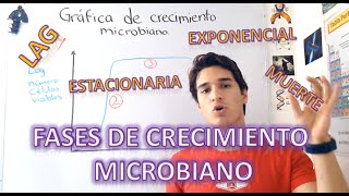 Gráfica y fases de crecimiento microbiano EN 4 MINUTOS [upl. by Fairbanks]