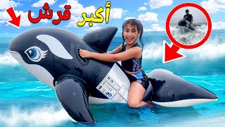 وأخيرا رانيا دخلت لعمق البحر 😱🌊 بأكبر قرش 🦈😰كانت غادي تغرق 😭💔 [upl. by Eisenberg]