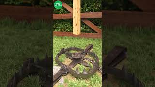 Grizzly Bear trap in action shorts trap bear [upl. by Myk]