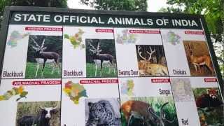 List of Indian State Animals Video State Official Animals Of India State Wise [upl. by Greyso705]