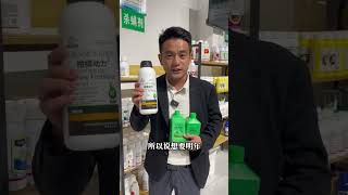 小树不管不成才，明天想要它长枝梢，就要让它不开花，就要进行人工干预才行，不然任由其生长，搞不好会变成小老树柑橘种植 果树种植 农业种植 [upl. by Irrek251]