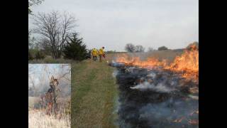 Prescribed Burn 1 Fireguards  Firebreaks 1 of 3 [upl. by Namurt487]