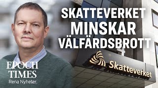 Skatteverkets storstädning minskar välfärdsbrott [upl. by Toile]