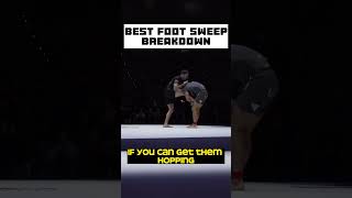 John Danahers Best Footsweep Breakdown  BJJ Breakdown [upl. by Xuaeb941]