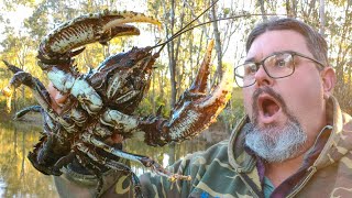 Catching MONSTER Crayfish And Murray Cod With A Secret Crayfish Bait [upl. by Paschasia]