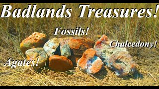 Birthday Rock Hunt in the South Dakota Badlands Amazing Chalcedony Prairie Agates and Fossils [upl. by Luciana]