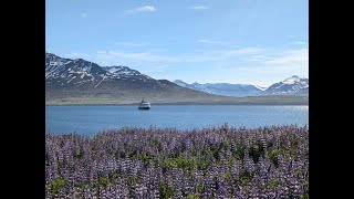 Natural Wonders of Iceland Small Ship Expedition Cruises [upl. by Farika765]