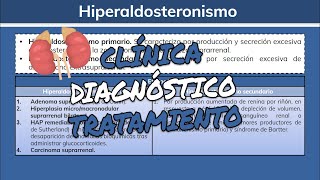 ⚕️🩺 Hiperaldosteronismo PRIMARO Y SECUNDARIO Síntomas Diagnóstico y Tratamiento [upl. by Kieger]