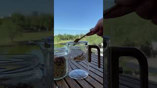 Esta tetera es especial teapot tetera coffeetime viralvideo trendingshorts teatime tea [upl. by Madea]