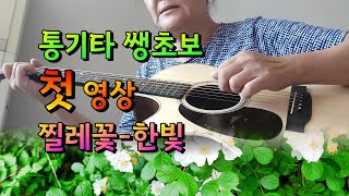 찔레꽃쌩초보 통기타 연주 첫 영상입니다 부끄부끄 hanbitheritageTV 찔레꽃 통기타라이브 써니7080 통기타쌩초보 [upl. by Naujik]