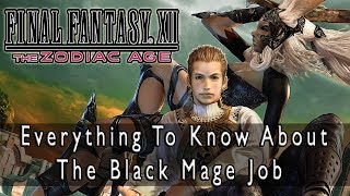 Final Fantasy XII The Zodiac Age  Black Mage Job Guide Everything There is to Know [upl. by Darb860]