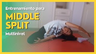 40 Minutos de MOVILIDAD de CADERA para MIDDLE SPLIT ✂️​ [upl. by Diamante165]