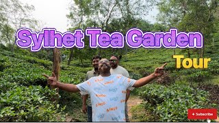 Sylhet tea garden Tour  সিলেটের চা বাগান ভ্রমণ [upl. by Nnaesor]