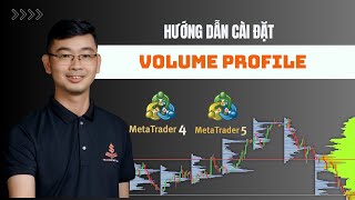 Cài Đặt Chỉ Báo Volume Profile Trên MT4 và MT5 Miễn Phí  TRADERPTKT [upl. by Luaped164]