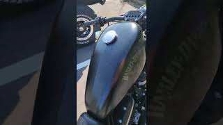 Harley Davidson Sportster Iron 883 Start UP iron883 [upl. by Mw]