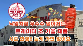 🇺🇸 미국 트레이더조 Trader Joe’s 가을 제품 시즌 한정 늦게 가면 없어요 🛒🏃‍♀️ [upl. by Aicxela]