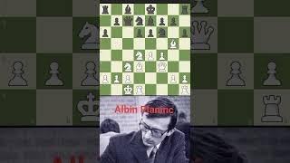 Albin Planinc vs Najdorf 1973 Chessgamer2mchessajedrezxadrezchallengechesscom [upl. by Phila]