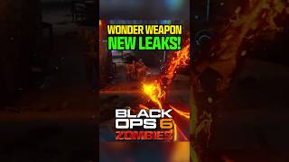 NEW Black Ops 6 Zombies Season 1 Wonder Weapons LEAKED 👀 [upl. by Sinnej]