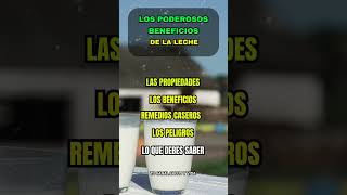 ¿ES BUENA LA LECHE 🥛 DESCUBRE SUS BENEFICIOS Y RIESGOS cuidado saludables lácteos [upl. by Norwood]