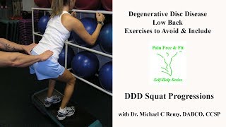 Degenerative Disc Disease Exercises to Avoid amp Include  Squat Progressions [upl. by Clara]